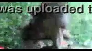 اختيصب امه وي هيه نيمه