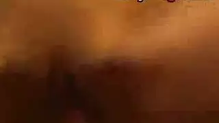حصان ينيك فرسه