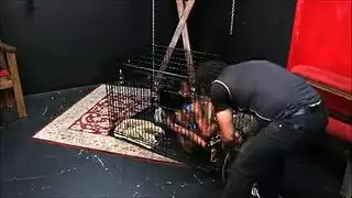 فتاة سوداء الأبواق الشرج مشعرات